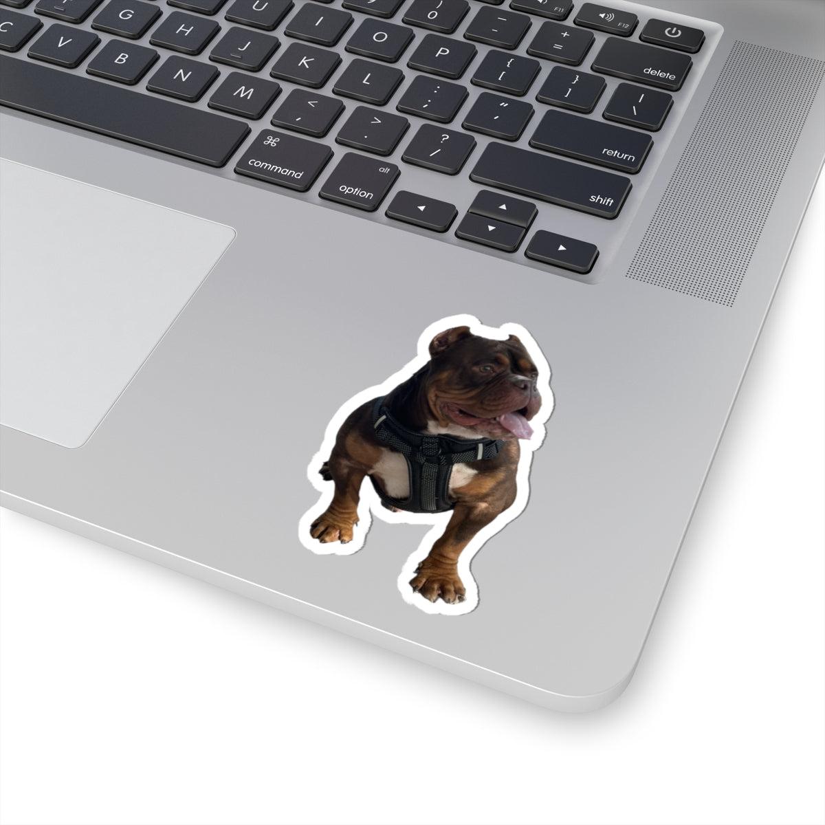 Personalized Pet Photo Stickers — Upload Your Pet & Create Custom Stickers