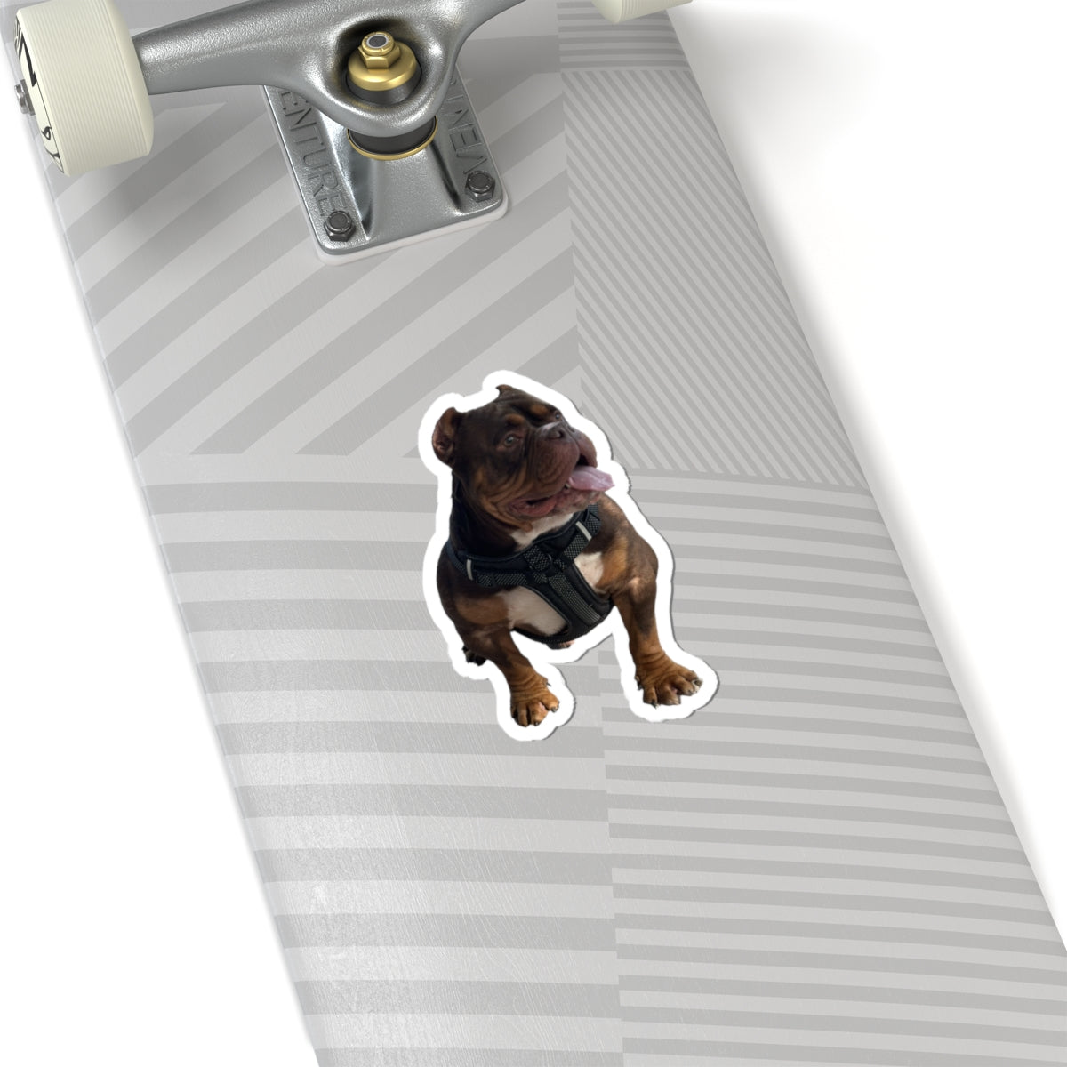 Personalized Pet Photo Stickers — Upload Your Pet & Create Custom Stickers