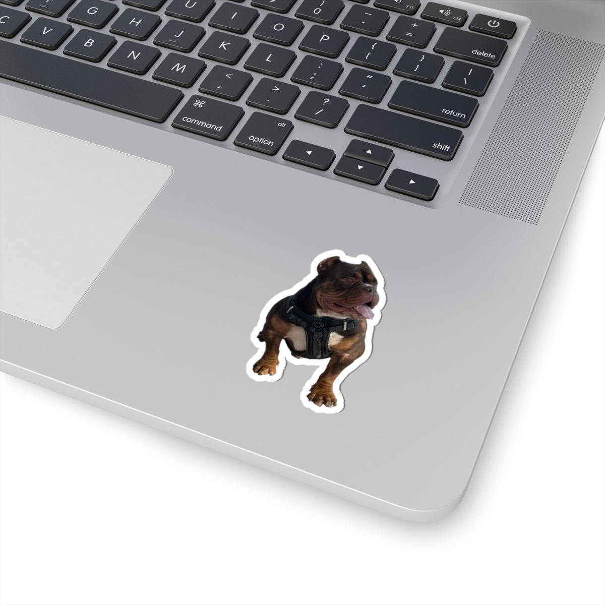 Personalized Pet Photo Stickers — Upload Your Pet & Create Custom Stickers