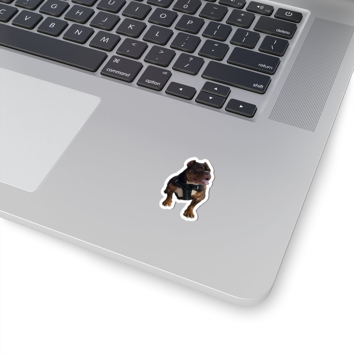 Personalized Pet Photo Stickers — Upload Your Pet & Create Custom Stickers